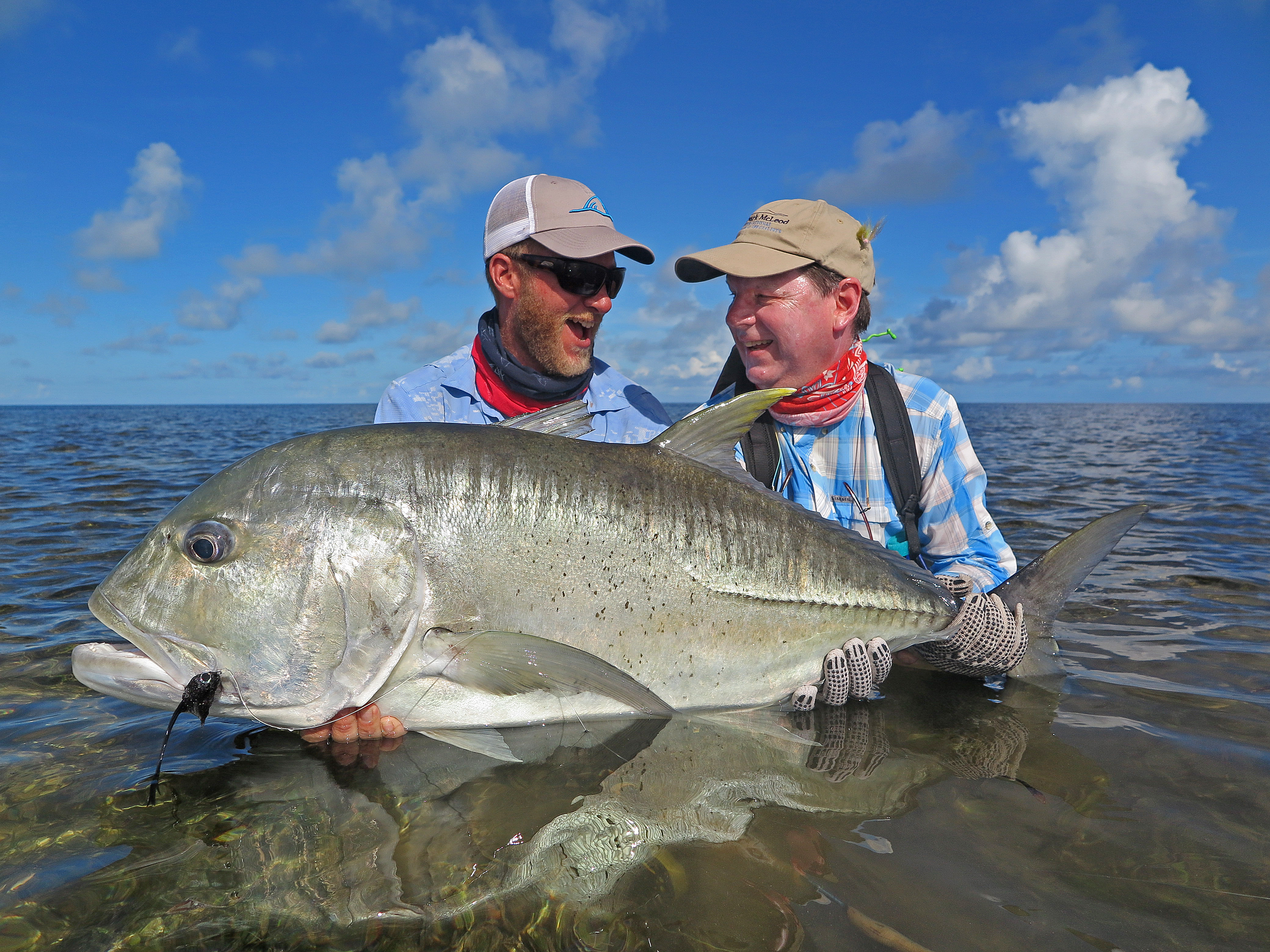 Featured Image - Providence Atoll: Opening 2017 Trip Report (19 – 28 March 2017)