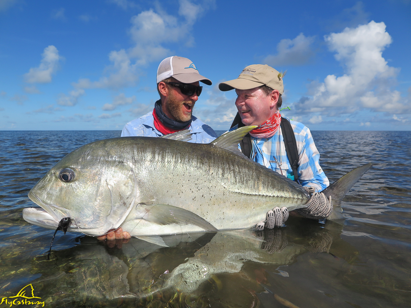 Featured Image - Providence Atoll: 2017 Head Guide Report