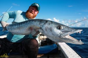 Fly fishing for barracuda