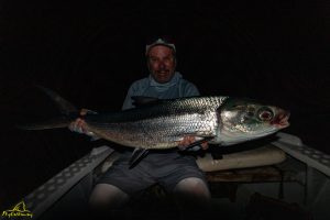 Milkfish caught on fly on Providence Atoll in Seychelles