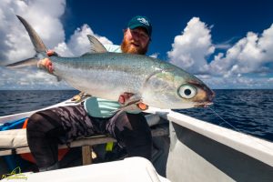 Milkfish caught on fly on Providence Atoll in Seychelles