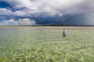 Fly fishing the beautiful flats of Providence Atoll in Seychelles